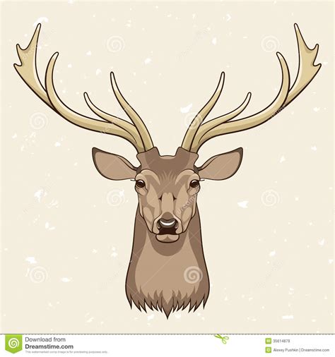 Whitetail Deer Head Vector At Collection Of Whitetail