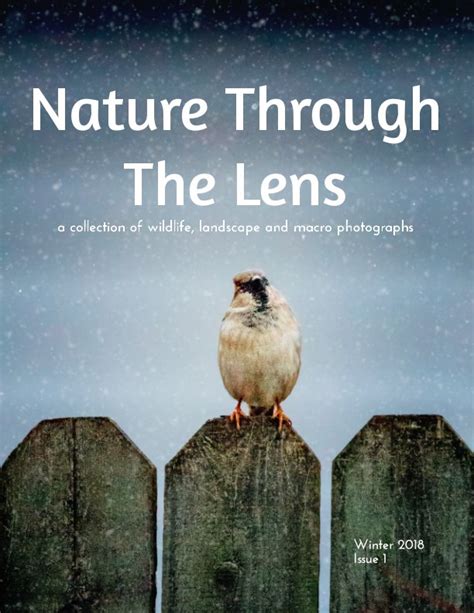 Best Nature Books Uk Nominations Open For Top 10 Uk Nature Books