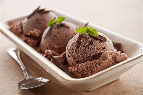 The Best Ever Ice Cream Maker Chocolate Ice Cream Recipe This