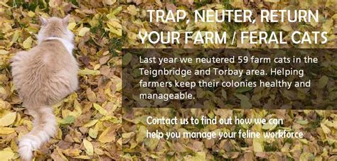Trap Neuter Return Farm And Ferel Cats