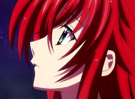Rias Gremory Side Profile In 2021 Dxd Highschool Dxd High School D×d
