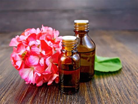 10 Reasons You Need A Bottle Of Geranium Essential Oil In Your Home