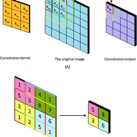 Schematic Diagram Of The Entire Convolutional Neural Network Model