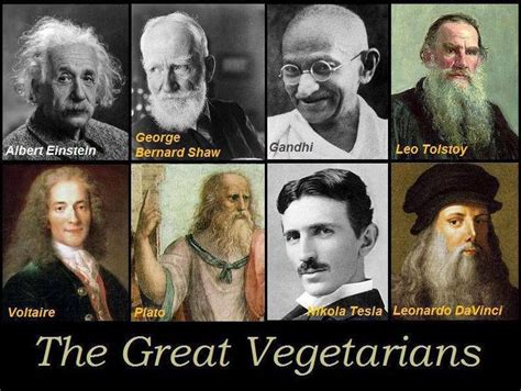 The Great Vegetarians Albert Einstein George Bernard Shaw Gandhi