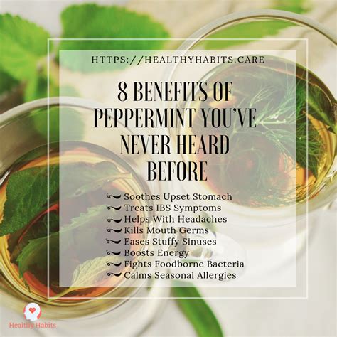 You Can Get Peppermint Leaf Through Tea Capsules Or As An Extract
