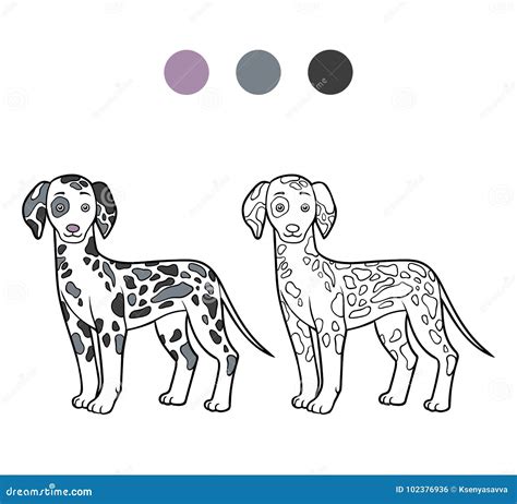 Coloring Book, Dog Breeds: Dalmatian Stock Vector - Illustration of