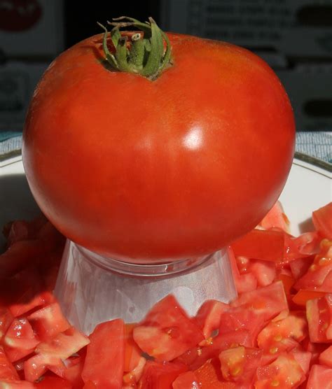 Ultimate Giant Tomato A Comprehensive Guide World Tomato Society