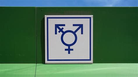 germany adopts legal third gender identity for intersex people
