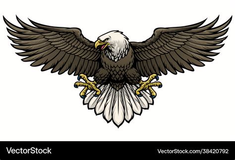 Hand Drawn Bald Eagle Spreading Wings Royalty Free Vector