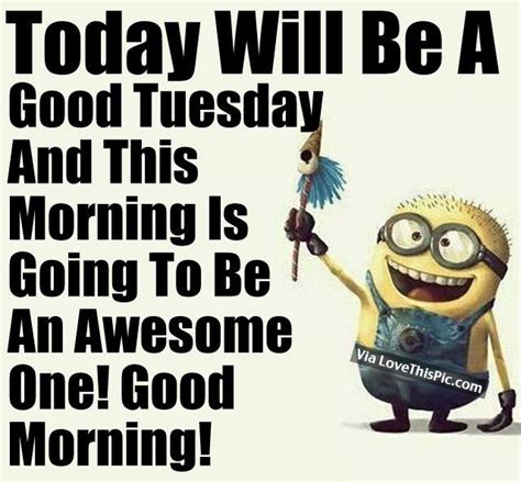 Happy tuesday, to all our daily quotes readers, today we share tuesday morning quotes and tuesday memes funny to make your day happy. Today Will Be A Good Tuesday And This Morning Is Going To ...