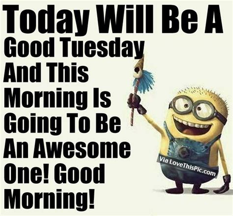 Here are 50 tuesday quotes with your favorite cartoon characters like snoopy, minions, charlie brown, strawberry short cake, hello kitty, disney, and more! Free Download Good Morning Tuesday Funny Images And Quotes - Paulcong