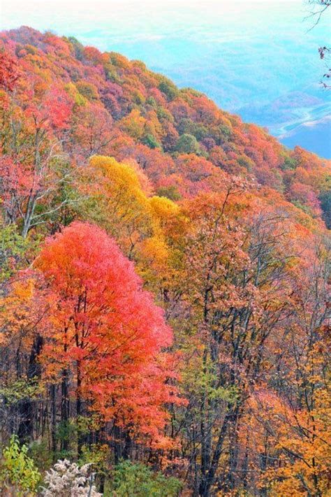 Fall In Kentucky Autumn Scenery Autumn Scenes Scenery