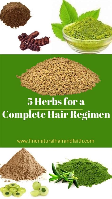 Top 5 Herbs For A Complete Hair Regimen Hair Care Herbs Ayurvedic
