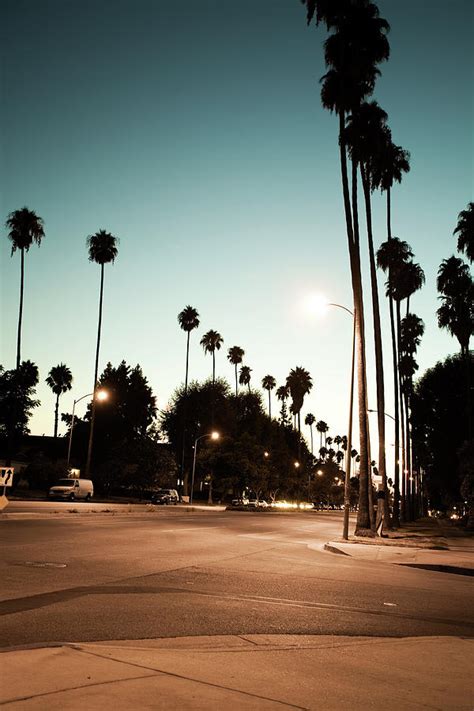 Palm Trees Lining A Los Angeles Street Photograph By Lpettet Fine Art