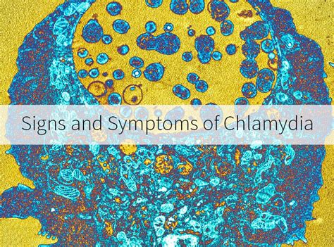 Chlamydia Signs And Symptoms Std