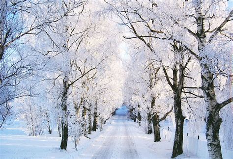 24 Amazing Scandinavian Winter Pictures
