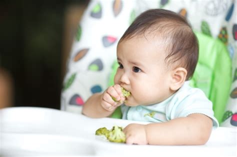 Kali ini kita akan membahas beberapa resep makanan bayi tumbuh gigi untuk mengatasi si kecil yang susah makan, yukkk kita simak resep apa aja yang ada, 1. 6 Makanan Ini Dapat Meredakan Nyeri Akibat Tumbuh Gigi ...