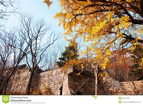 Laoshan Mountains Beautiful Autumn Scenery Of China Stock