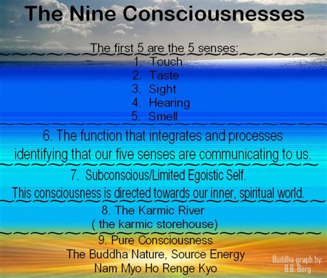 The Nine Consciousnesses Consciousness Buddhist Philosophy