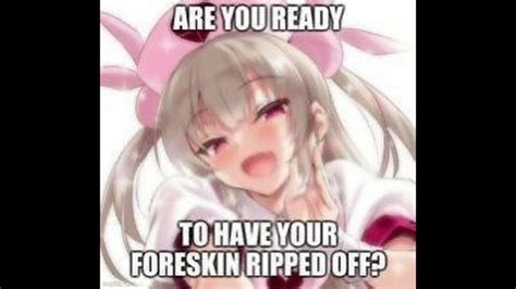 Foreskin Anime Girl Shitpost Meme Youtube