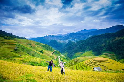 Hình ảnh cánh đồng lúa đẹp nhất trên quê hương Việt Nam Tháng Hai