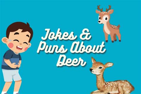 Funny Deer Puns Funnpedia