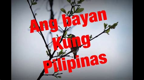 Bayan Kung Pilipinas Youtube