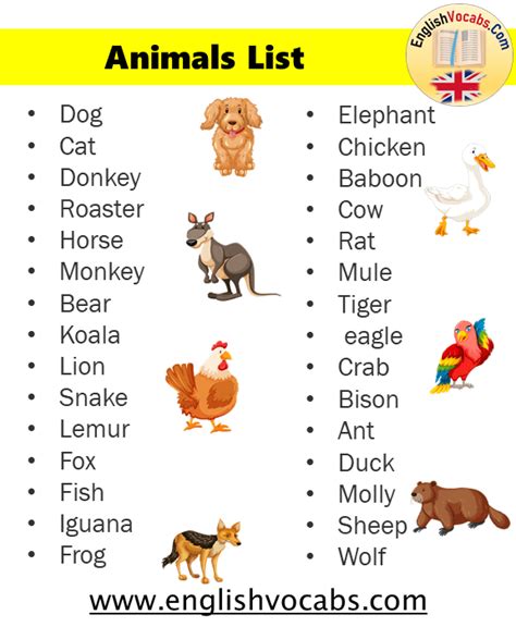 100 Animals Name List In English English Vocabs