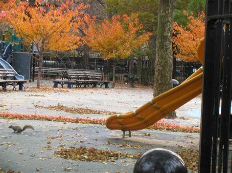 Playground With Squirrel Tompkins Squares Avenue A Playgr Flickr