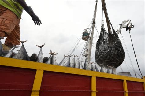 La Entrada En Vigor Del Tratado Contra La Pesca Ilegal Marca El Inicio