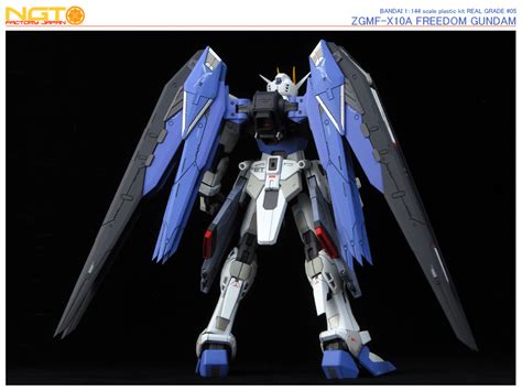 Gundam Guy Rg 1144 Zgmf X10a Freedom Gundam Build By Ngt Factory