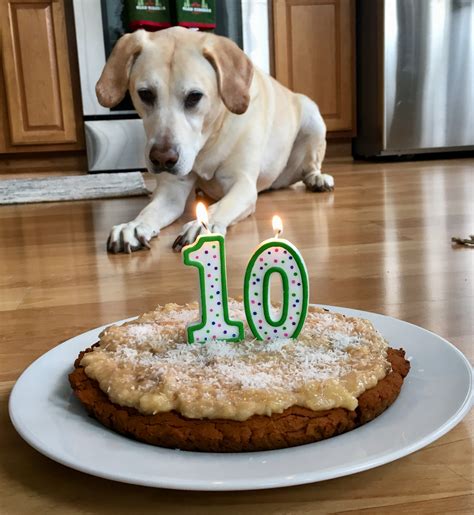 Cake For Dogs Recipe Dog Birthday Cake Brown Eyed Baker All Of The