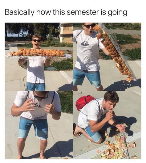 It will be published if it complies with the content rules and our moderators approve it. Everything is Fine - Memebase - Funny Memes