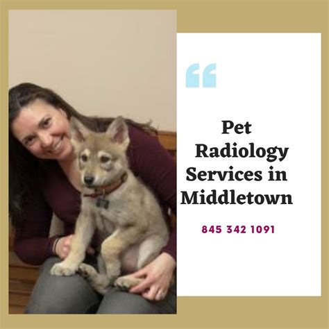 Pet Radiology Services In Middletown In 2020 Pet Health Cat Vet Pet Vet