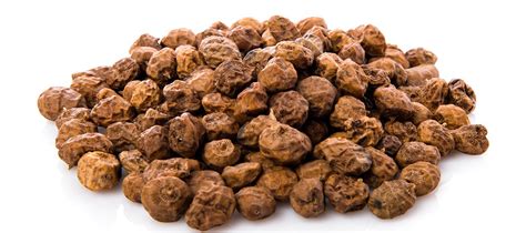 Step By Step Instructions To Start Lucrative Tiger Nuts Farming Yorru