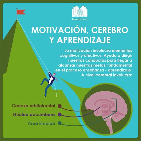 Motivaci N Cerebro Y Aprendizaje Aprendizaje Neurociencia Y Educacion Tecnicas De Aprendizaje
