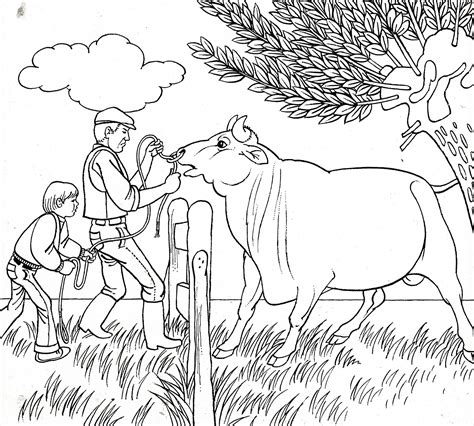 Get this coloring page without the watermark for only $0.99. stier / bull | Coloring Pages | Pinterest