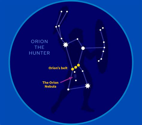 A Kids Guide To Stargazing Ology Amnh