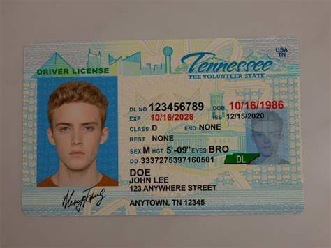 Tennessee Fake Driver License Tennessee Fake Id