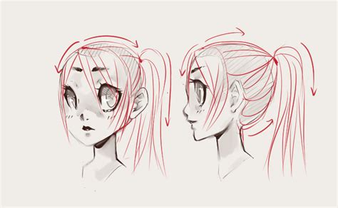 How To Draw Hair Trichology For Illustrators Draw Central Ponytail