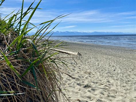 A Guide To Anchorages Best Beaches Visit Anchorage