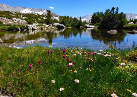 Www.facebook.com/greenhouse.bymuir call venue 03 2630 6731. Hidden Gems of Pioneer Basin, John Muir Wilderness, California
