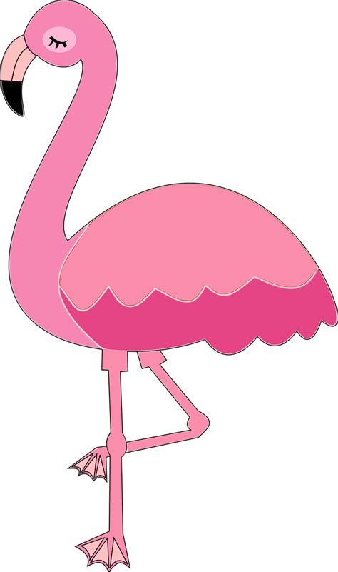 Download Flamingo Flamingos Bird Royalty Free Vector Graphic Pixabay