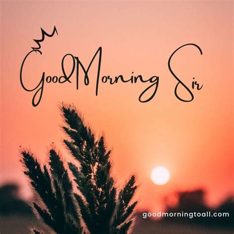 105 Good Morning Sir Wishes And Quotes Trending 2023
