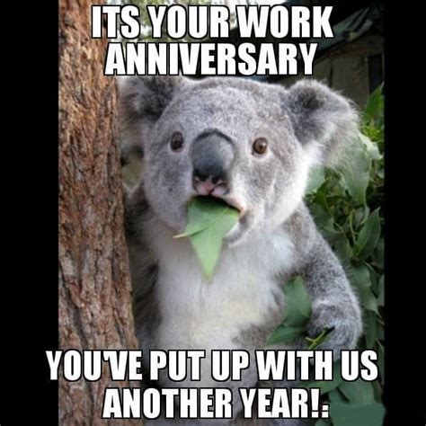 Happy Work Anniversary Meme Memes Funny Saturday Memes Work