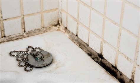 Clean Bathroom Tile Grout Mold Semis Online