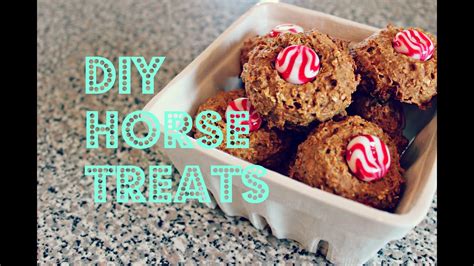 Homemade Horse Treat Recipes No Bake Dandk Organizer