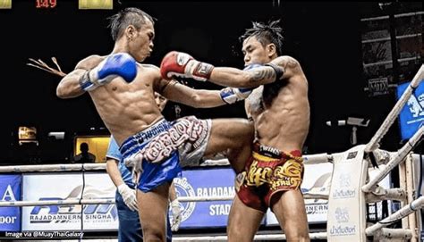 How To Fight Muay Thai Alternativedirection12