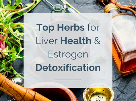 Top Herbs For Liver Health And Estrogen Detoxification Hormonesbalance