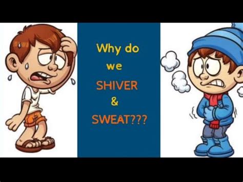 Why Do We Sweat And Shiver Science Youtube